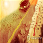 폭염경보,최고기온,위험