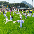 풍년,서구,서창,들노래