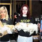 시위,개고기