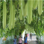 관광객,울산,호텔,증가,상품