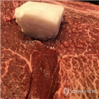 커뮤니티,인터넷,임씨