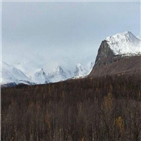 여성,스웨덴,현지,경찰