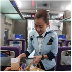 계절,코레일,특실서비스