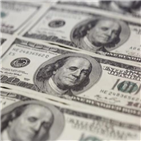 달러,환율