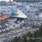 축제,태풍,취소,점검,북상