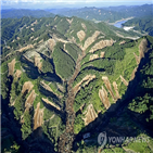 홋카이도,상공업,1조3천억