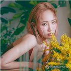 부친,사기,혐의