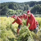 지원,태풍,피해복구