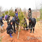 북한,산림,비율,보고서