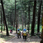 지리산둘레길,걷기축제