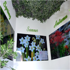 야생화,다우니,캠페인,보호