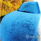 기온,대관령,철원