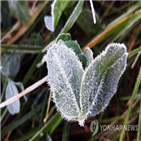 기온,영하,내륙,평년