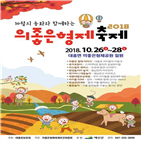 형제,축제,체험