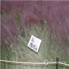 훼손,대공원,울산대공원,방문객,일부