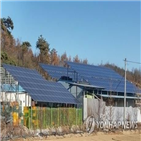 환경영향평가,사업,증가