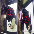 살해,할머니,범행,항소심