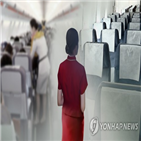 승무원,기내,올해,성추행,폭언