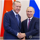 시리아,터키,러시아,정상회의