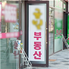 호가,중개업소,인근,전용,은마아파트,아파트,서울,정부,지역
