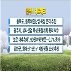 추진,육성,블록체인산업