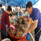 가리비,축제,고성군,다양