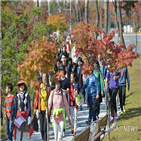 코스,원주국제걷기대회,오후,참가자,원주