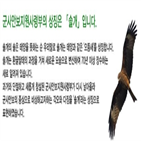 솔개,안보지원,상징