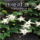 한국,나무,들꽃,사진