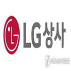 LG상사,감소