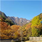 단풍,계룡산