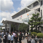 기여금,국제교류기여금,사실상,여권발급