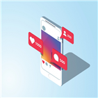 팔로워,계정,조작,채널,소비자,확인