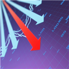 지수,코스피,확대,거래