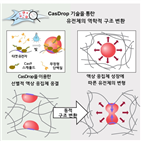 세포,응집,유전체