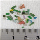 미세플라스틱,국립환경과학원