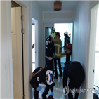 학생,펜션,3시,경찰