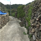 돌담,신안,정서