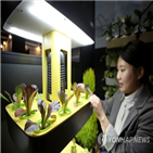 스마트팜,커뮤니티,비즈니스