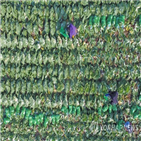 농작물,피해,자연재해,올해