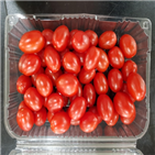 꼭지,방울토마토,비율