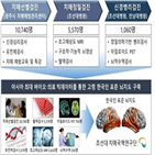 치매,뇌지도,표준,한국인