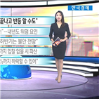 전망,시어스,증시,내년,애플,유가