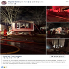 가족,화재,마리