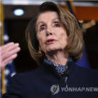 펠로시,하원의장