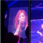 찰리,푸스,박초롱