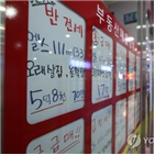 하락,보합,올해,예상,응답자