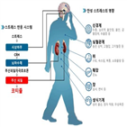 스트레스,코르티솔,분비,호르몬,교수