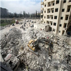 네덜란드,아이,시리아,체류,정부