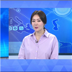 주식,개인투자자,지난해,개인,증시